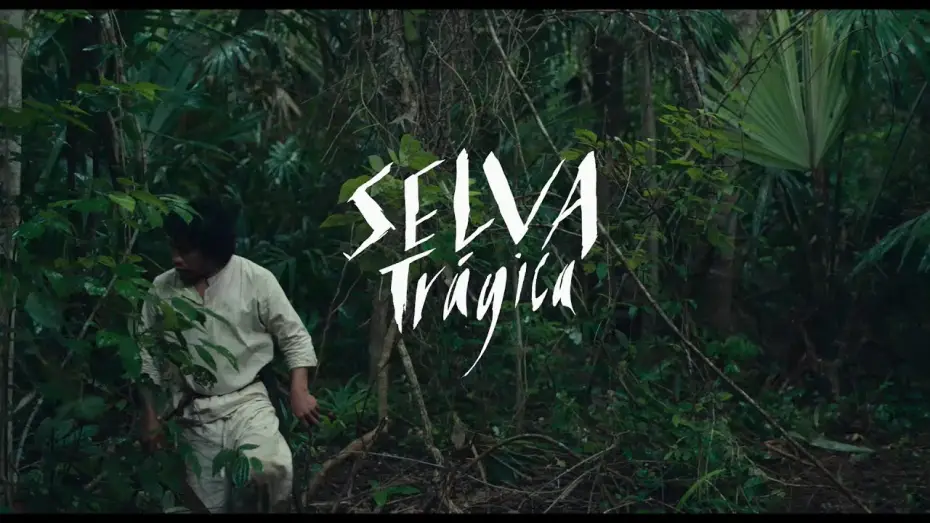 Wideo do filmu Tragiczna dżungla — #BIFF2020 World Cinema - Tragic Jungle / 월드 시네마 - 비탄의 정글