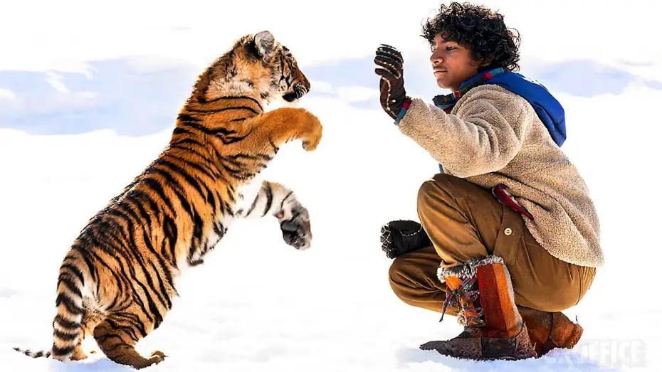 Wideo do filmu Pimi z Krainy Tygrysów — LE NID DU TIGRE Bande Annonce (2023) Aventure