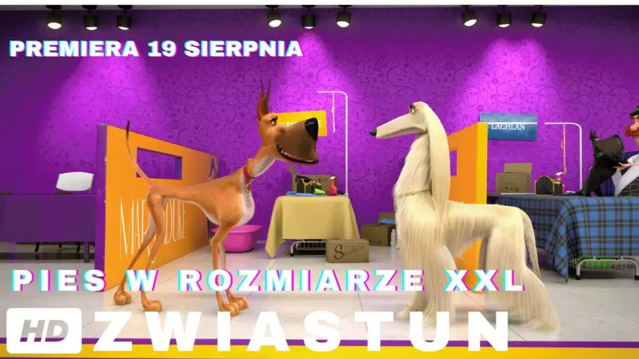 Wideo do filmu Pies w rozmiarze XXL — PIES W ROZMIARZE XXL - oficjalny zwiastun