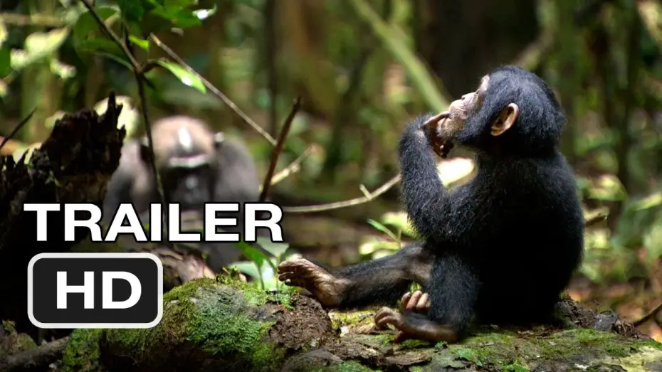 Wideo do filmu Szympans — Chimpanzee Official Trailer #1 (2012) Disney Nature Movie HD
