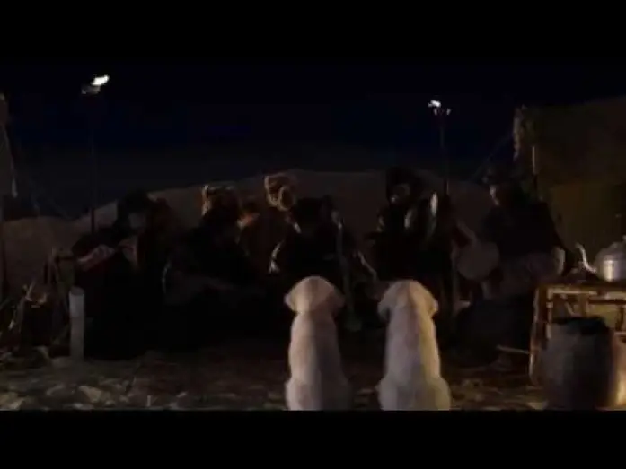 Wideo do filmu Egipskie psiaki — Treasure Buddies - My 2 seconds of fame
