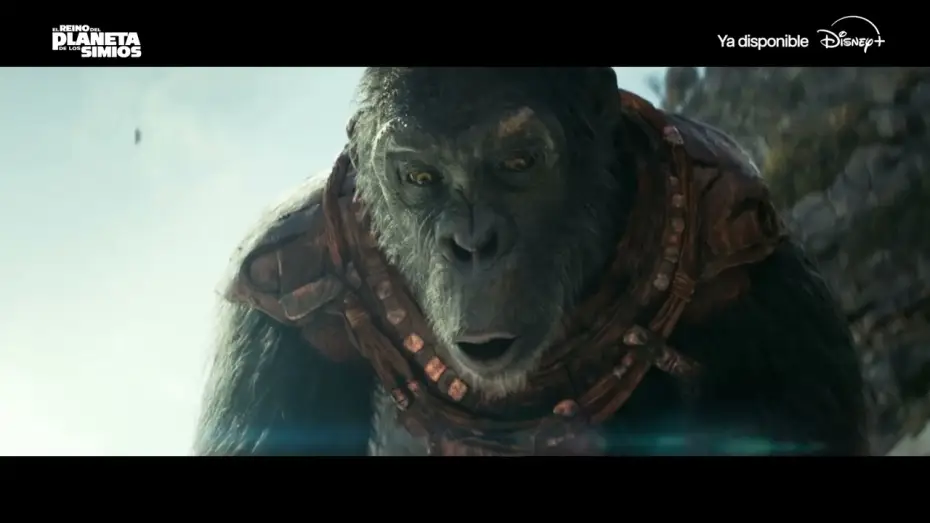 Wideo do filmu Królestwo Planety Małp — Disfrútala YA en Disney+