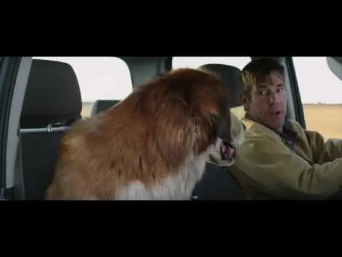 Wideo do filmu Był Sobie Pies — MES VIES DE CHIENS - Extrait - "Deux vieux copains" - VF
