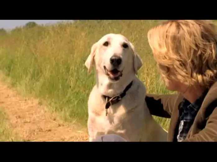 Wideo do filmu Marley i Ja — Marley & Ich - Trailer