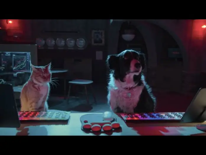 Wideo do filmu Psy i koty 3: Łapa w łapę — Como Perros y Gatos: La Patrulla Unida – Tráiler Oficial