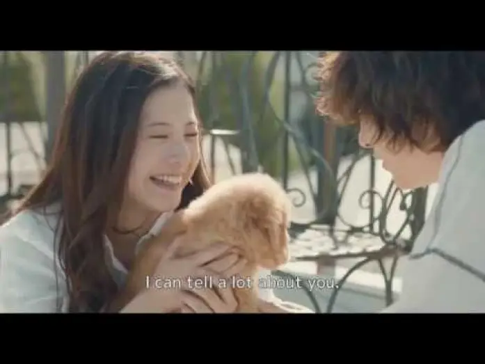 Wideo do filmu きみの瞳が問いかけている — YOUR EYES TELL Trailer English Subtitled
