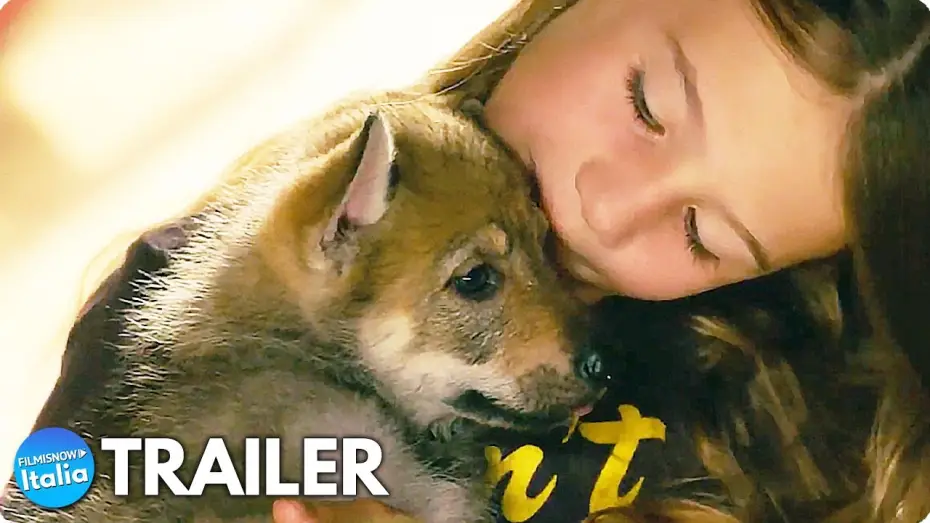 Wideo do filmu Wiki i jej Sekret — VICKY E IL SUO CUCCIOLO (2022) Trailer ITA del Film sull'Amiciza con un Lupo