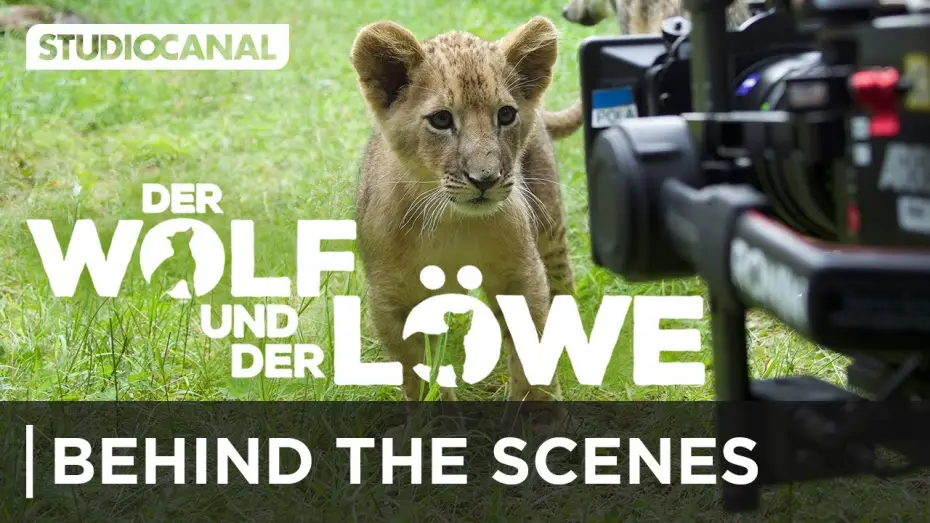 Wideo do filmu Wilk, lew i ja — Hinter den Kulissen
