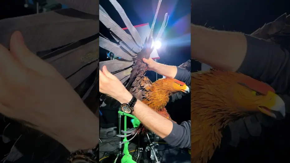 Wideo do filmu Kroniki lasu. Wildwood — Posing The General Puppet