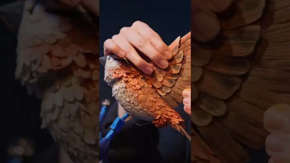 Wideo do filmu Kroniki lasu. Wildwood — Behind-the-Scenes: Avian Principality Reveal