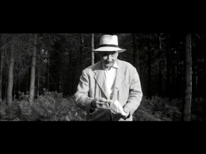 Wideo do filmu Never Take Sweets from a Stranger — Brian Trenchard-Smith on NEVER TAKE CANDY FROM A STRANGER