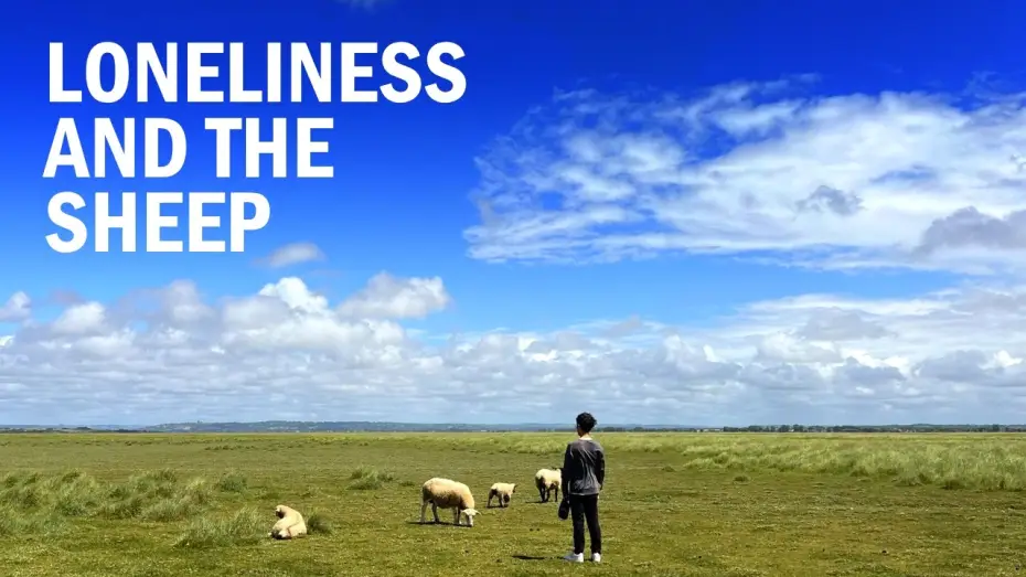 Wideo do filmu Loneliness and the Sheep — Loneliness and the Sheep | Short Film
