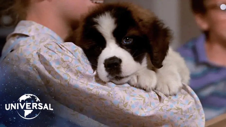 Wideo do filmu Beethoven — The St. Bernard’s Journey Home