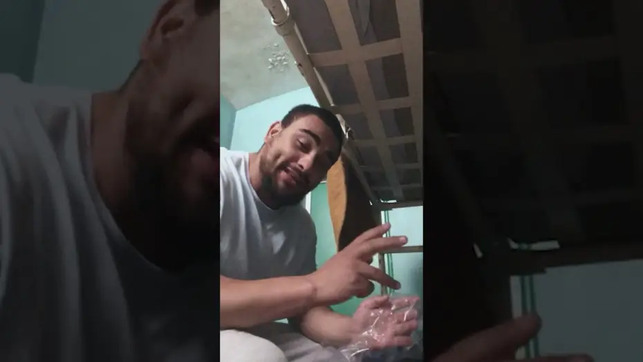 Wideo do filmu Wasteman — the album tour continues.