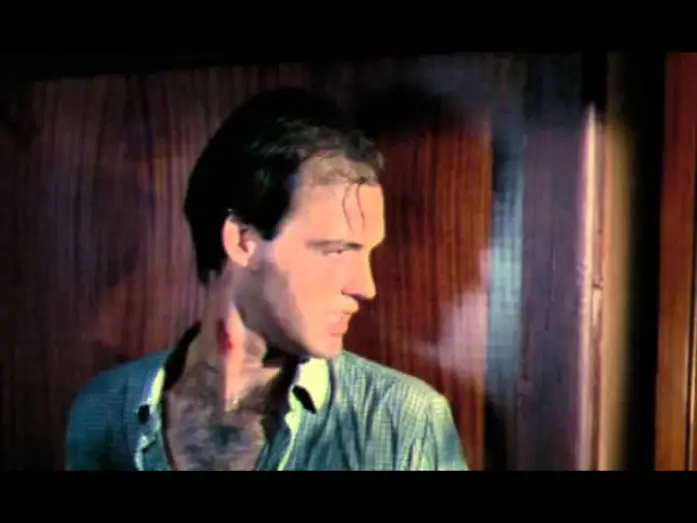 Wideo do filmu La ragazza del vagone letto — Terror Express (1979) Trailer