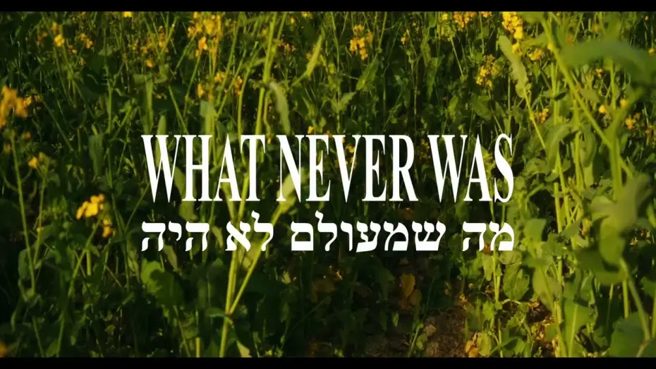 Wideo do filmu What Never Was — What Never Was: Trailer
