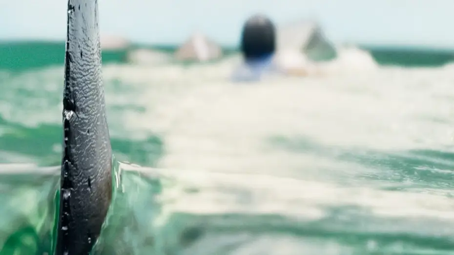 Wideo do filmu Deep Water — Teaser Trailer