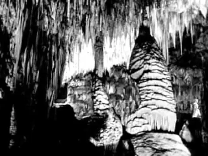 Wideo do filmu Earth vs. the Spider — Die Rache der schwarzen Spinne - 1958
