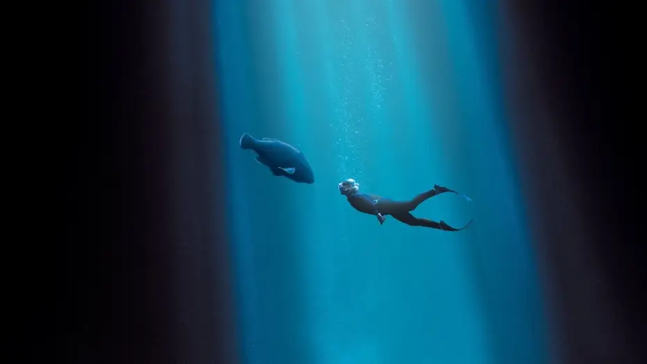 Wideo do filmu Blueback — Nadando en libertad - Tráiler español