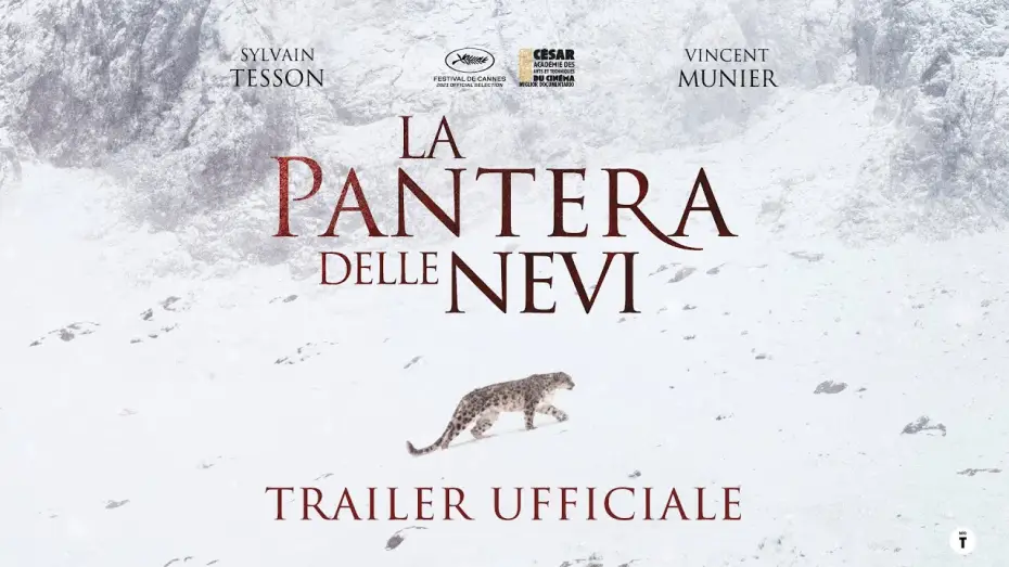 Wideo do filmu Duch śniegów — La Pantera delle Nevi - dal 20 ottobre al cinema | Trailer ITA