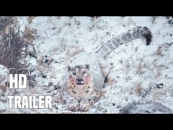 Wideo do filmu Duch śniegów — DER SCHNEELEOPARD Trailer German Deutsch (2022)