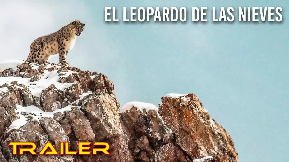 Wideo do filmu Duch śniegów — El leopardo de las nieves - Tráiler español