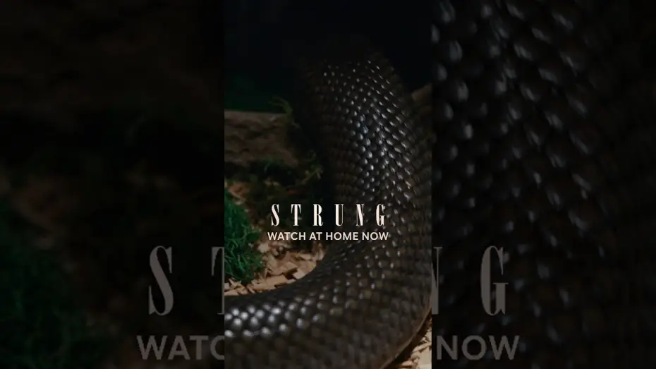 Wideo do filmu Strung — Watch at Home
