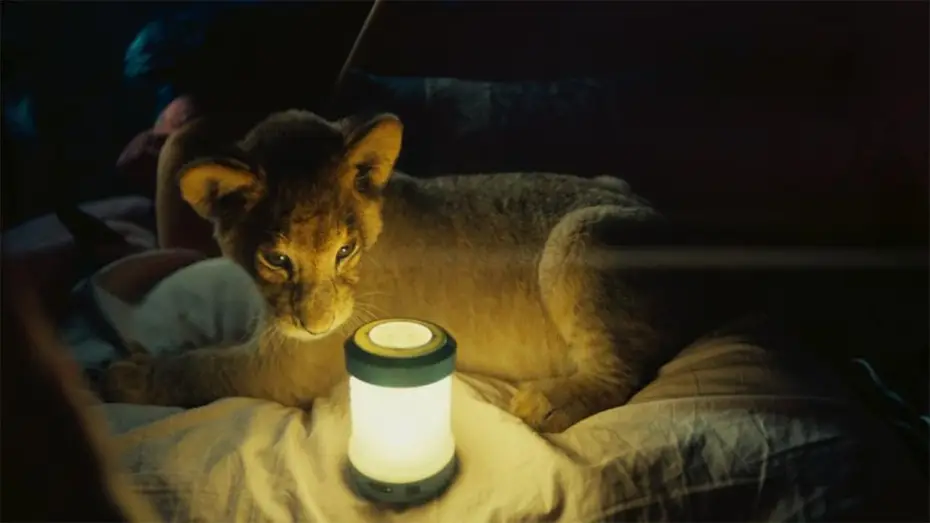 Wideo do filmu King: Mój przyjaciel lew — King, mi pequeño rey - Trailer español