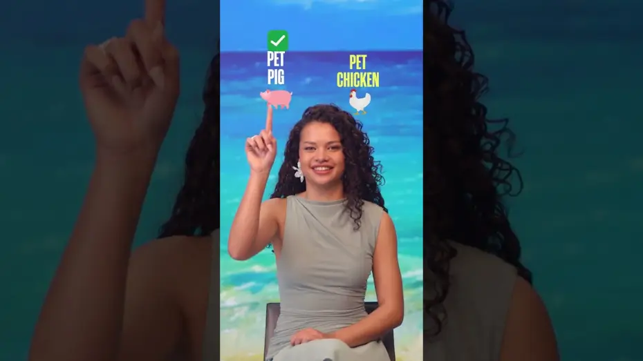 Wideo do filmu Moana — pet 🐔 or pet 🐷?