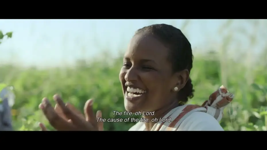 Wideo do filmu Cotton Queen — #TIFF66 | Cotton Queen [INTERNATIONAL COMPETITION]