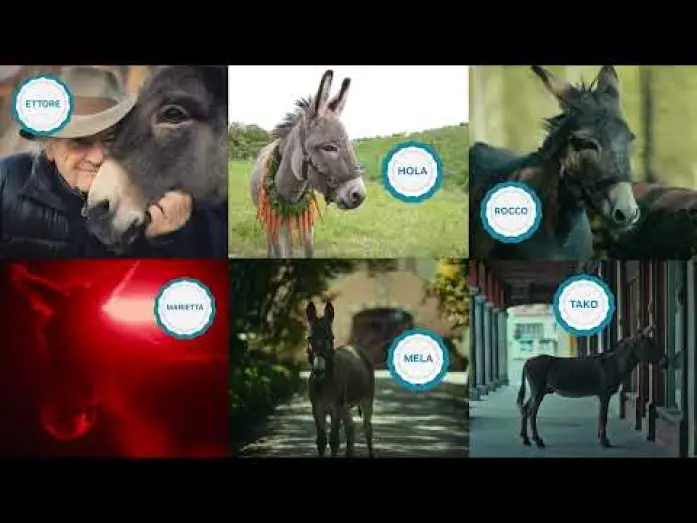 Wideo do filmu IO — Jerzy Skolimowski and Ewa Piaskowska on their six star Sardinian donkeys.