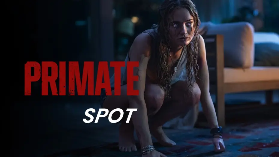 Wideo do filmu Szympans — PRIMATE | Escape | Kinostart: ab 29.1.