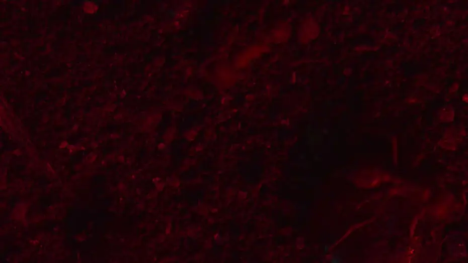 Wideo do filmu RESET — RESET Intro Clip