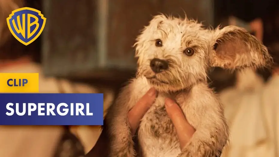 Wideo do filmu Supergirl — SUPERGIRL – „Krypto” Clip Deutsch German (2026)