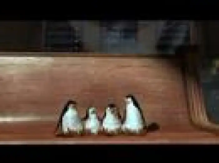 Wideo do filmu Madagaskar — Madagascar Trailer