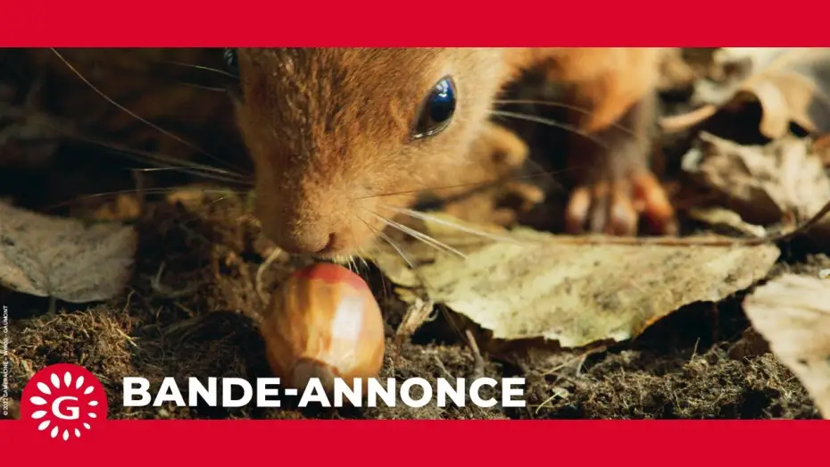 Wideo do filmu Le Chêne — Le Chêne  (2022) - Bande-annonce