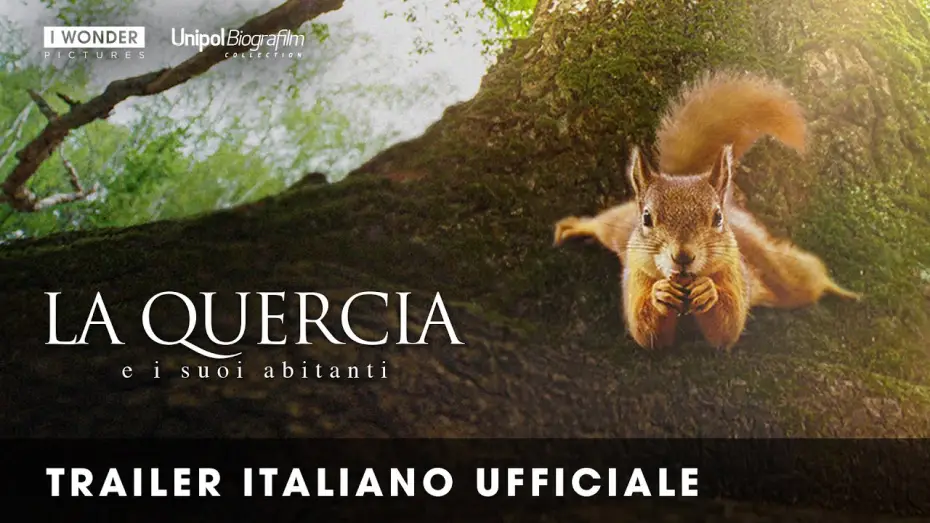 Wideo do filmu Le Chêne — LA QUERCIA E I SUOI ABITANTI | Trailer italiano ufficiale HD