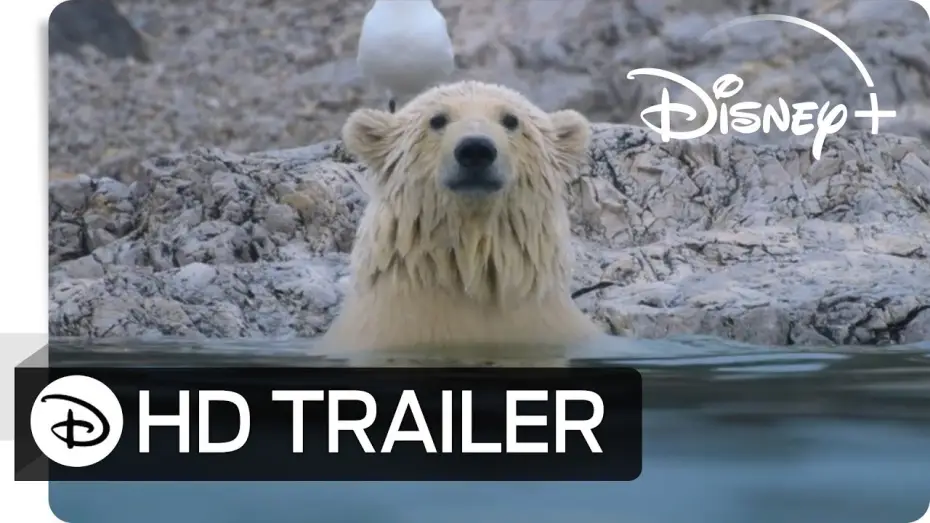 Wideo do filmu Polar Bear — Eisbären | Teaser Trailer | Deutsch HD