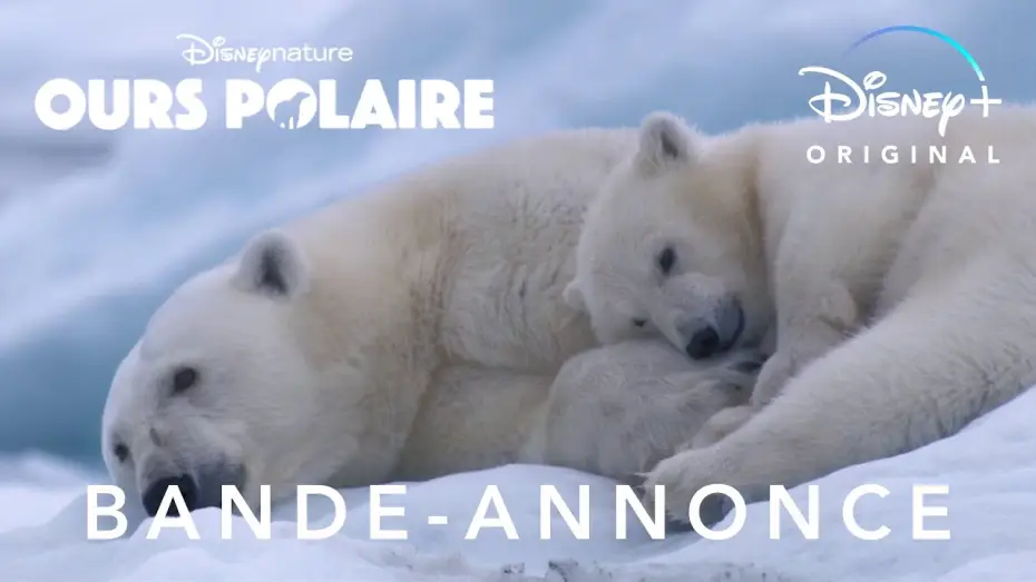 Wideo do filmu Polar Bear — Ours polaire - Bande Annonce [VF]