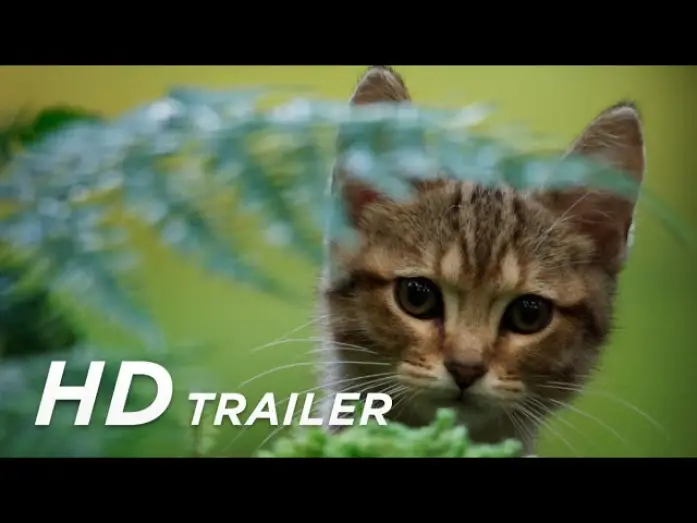 Wideo do filmu Mru i ja: Wielka przygoda na cztery łapy — Offizieller Trailer