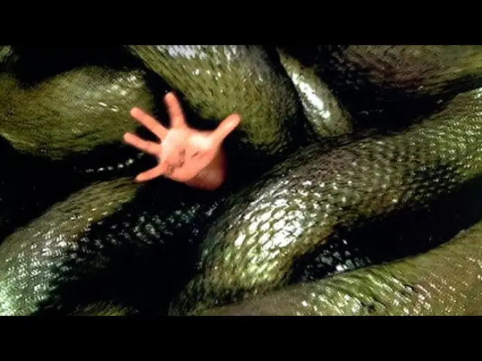 Wideo do filmu Anakondy - Polowanie na Krwawą Orchideę — ANACONDAS: La Cacería Por La Orquídea Sangrienta (Trailer español)