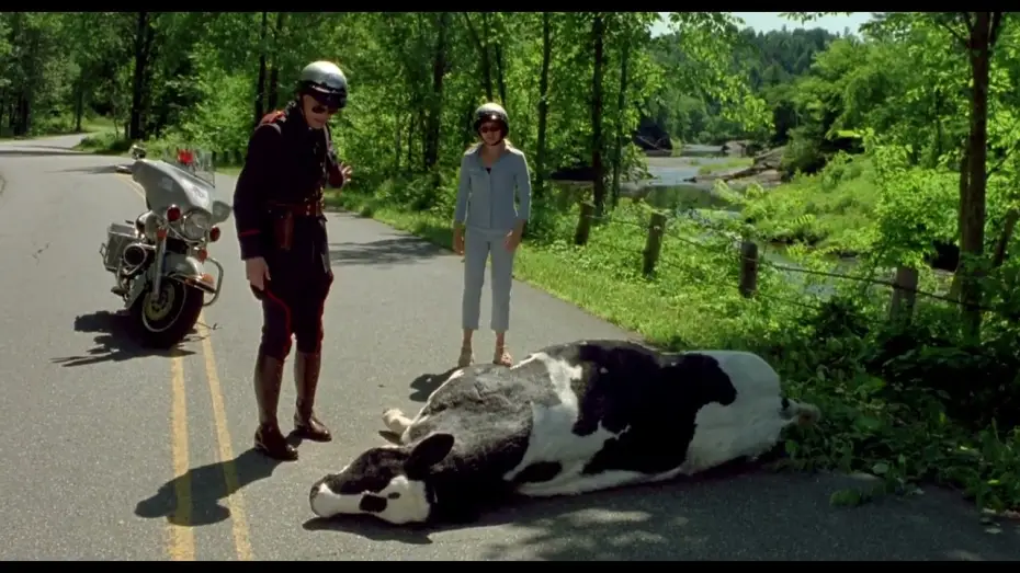 Wideo do filmu Ja, Irena i Ja — Fous d'Irène - le passage de la vache :)