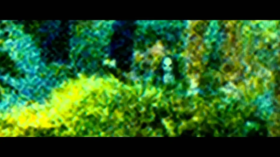 Wideo do filmu Sinister — Sinister - Trailer en español HD