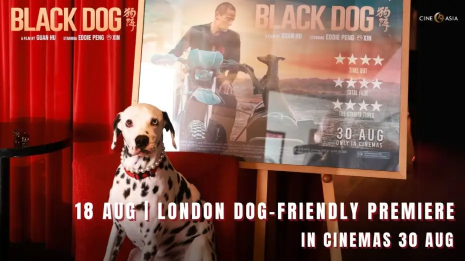 Wideo do filmu Czarny pies — London Premiere @ Curzon Soho