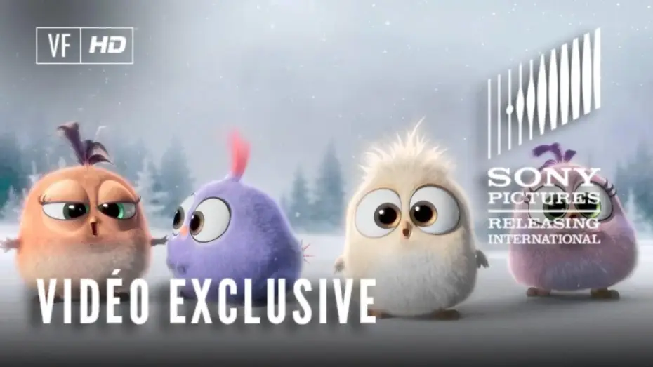 Wideo do filmu Angry Birds: Film — Angry Birds - Noël