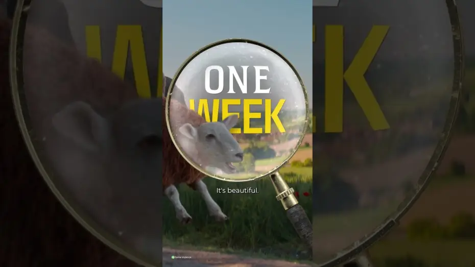 Wideo do filmu Sprawiedliwość owiec — One Week