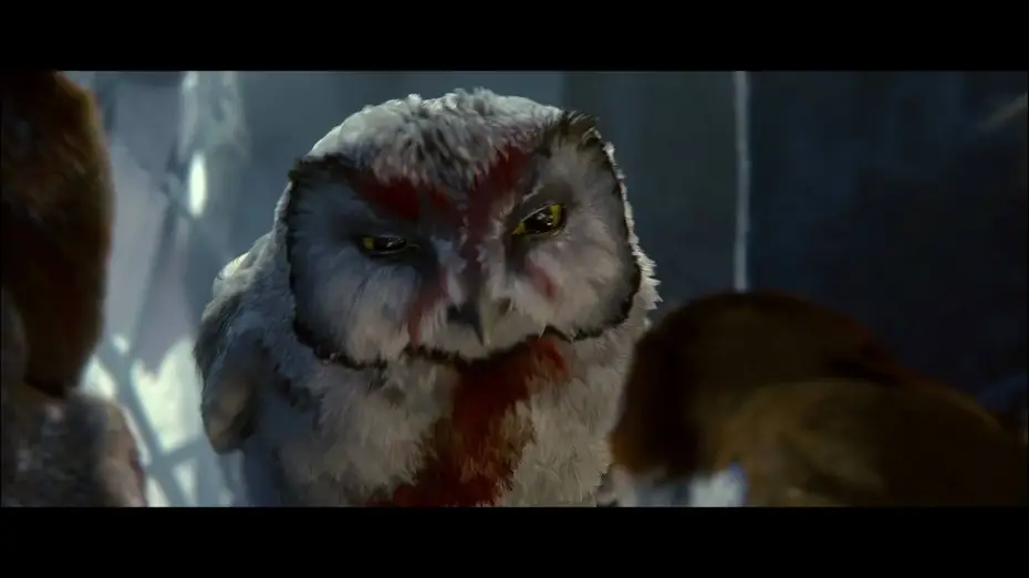 Wideo do filmu Legendy sowiego królestwa: Strażnicy Ga'Hoole — Legend of the Guardians: The Owls of Ga'Hoole An IMAX 3D Experience Trailer