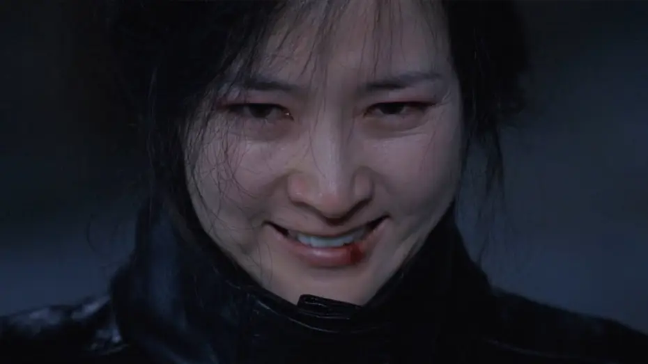 Wideo do filmu Pani Zemsta — Lady Vengeance trailer