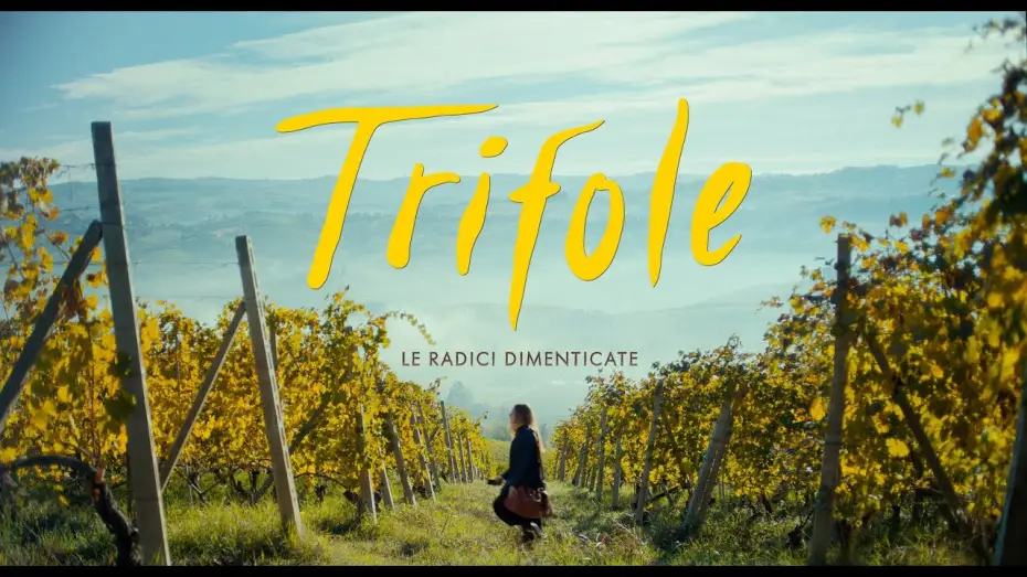 Wideo do filmu Trifole — TRIFOLE - Le radici dimenticate - TEASER - dal 17 ottobre al cinema