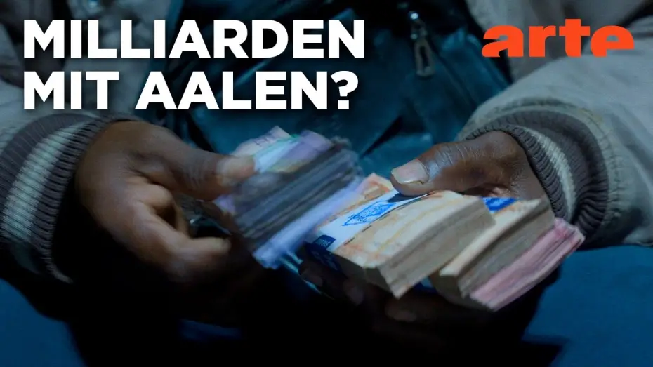 Wideo do filmu Billion Dollar Babies - Der Aal und die Gier — Milliarden Dollar Babies - Große Gewinne mit kleinen Aalen | Doku HD | ARTE